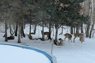 190 139th Ave NW - Photo 70