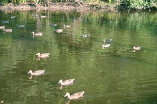 3675 Independence Ave S - Photo 26