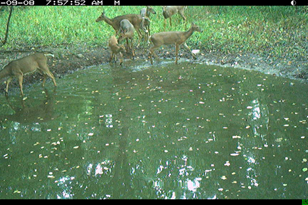 5403 110th St, Milaca, MN 56353-4041