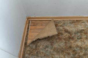 321 36th Ave NW - Photo 8