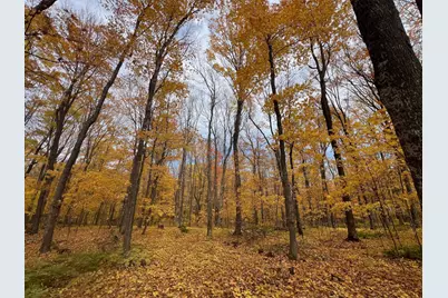 154Xx Durphee Lane, Hayward, WI 54843 - Photo 4