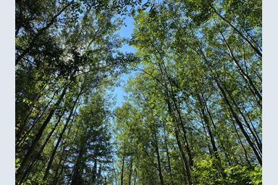 Tbd Buck Dr., Bovey, MN 55709 - Photo 12