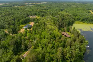 33314 Island Lake Trail, Pequot Lakes, MN 56472 - Photo 54