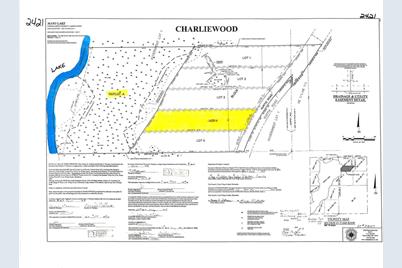 Tbd - Lot 4 Hurtig Road, Pequot Lakes, MN 56472 - Photo 2