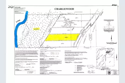 Tbd - Lot 4 Hurtig Road, Pequot Lakes, MN 56472 - Photo 2