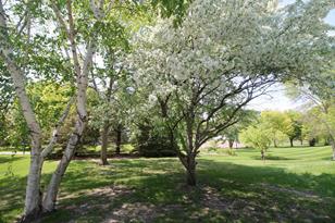 712 24th St SE - Photo 4