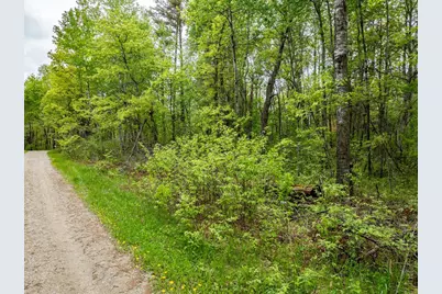 Tbd Dodder Lane SW, Pequot Lakes, MN 56472 - Photo 18