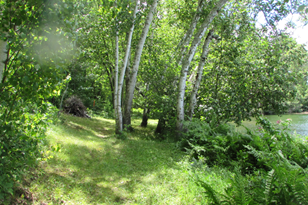 30985 Tabor Lake Dr, Yellow Lake, WI 54830