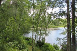 30985 Tabor Lake Dr - Photo 4