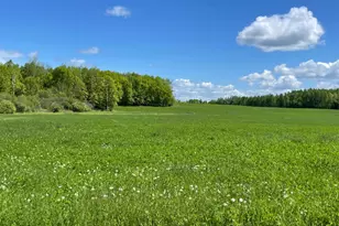 6281 24th Ave NW, Walker, MN 56484 - Photo 34