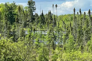 6281 24th Ave NW, Walker, MN 56484 - Photo 38