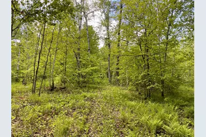 6281 24th Avenue NW, Walker, MN 56484 - Photo 24