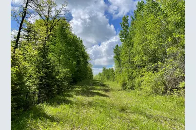 6281 24th Avenue NW, Walker, MN 56484 - Photo 30