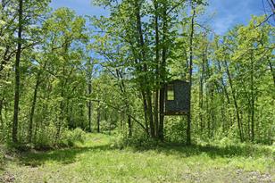 24111 State Hwy 6 - Photo 28