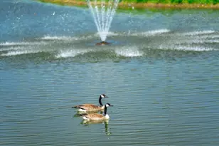 2225 Sharon Ln, Hudson, WI 54016 - Photo 18