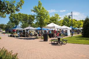 450 Indian Hill Rd, Chanhassen, MN 55317 - Photo 20