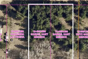 Lots 22 & 23 Oak Dr, Browerville, MN 56438 - Photo 1