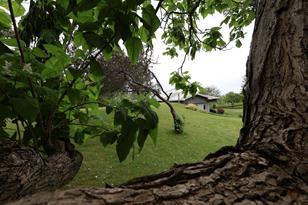 45678 186th St - Photo 72