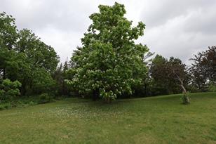 45678 186th St - Photo 70