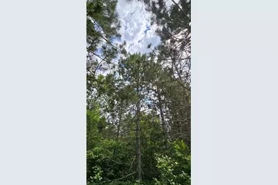 30945 Vahalla Lane, Cass Lake, MN 56633 - Photo 6