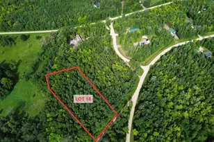 Lot 18 Natures Trail, Federal Dam, MN 56641 - Photo 1