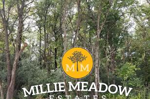 4008 Millie Meadow Dr SW, Rochester, MN 55902 - Photo 1