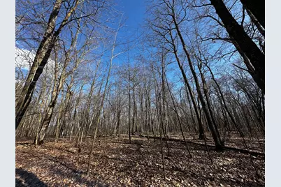 Xxx Wilson Lake Drive, Deerwood, MN 56444 - Photo 8