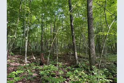 Xxx Wilson Lake Drive, Deerwood, MN 56444 - Photo 20