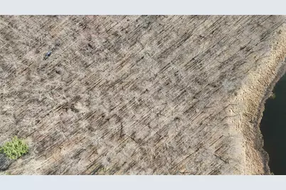 Xxx Wilson Lake Drive, Deerwood, MN 56444 - Photo 10