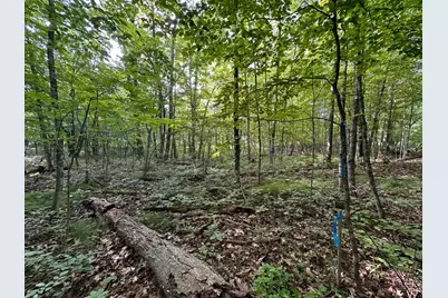 Xxx Wilson Lake Drive, Deerwood, MN 56444 - Photo 20