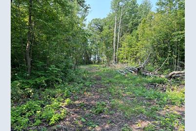 1246 Island Lake Resort Drive, Lengby, MN 56651 - Photo 4