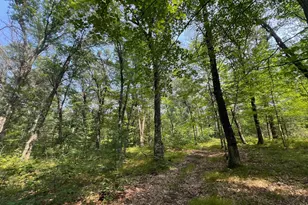 Xxxxx McLain Rd, Grantsburg, WI 54840 - Photo 1