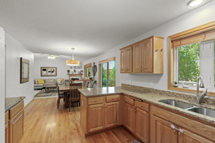 9010 Parkside Dr, Saint Paul MN  55125-7514 exterior