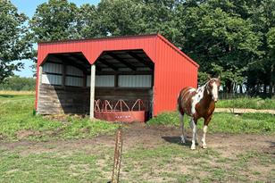 47213 615th Ave - Photo 40