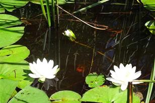 6701 Koski Rd, Tower, MN 55790 - Photo 14