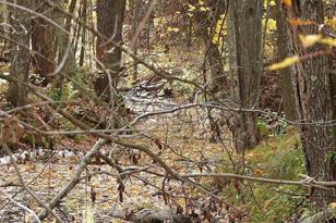 22519 Co Rd 3, Lake Edward Twp, MN 56465 - Photo 20