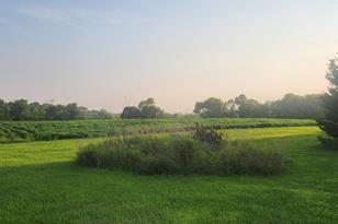 916 Main St, Erhard, MN 56534 - Photo 6