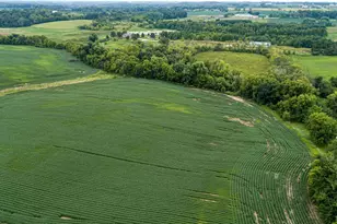 4081 Dassel Ave, Webster, MN 55088 - Photo 12