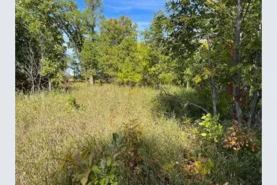 Xxxx Woodsmen Lane SW, Alexandria, MN 56308 - Photo 4