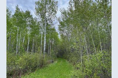 11000 Cr64, Mizpah, MN 56660 - Photo 1