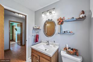 8382 68th St S, Cottage Grove, MN 55016 - Photo 28