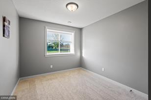11577 33rd St N, Lake Elmo, MN 55042 - Photo 38
