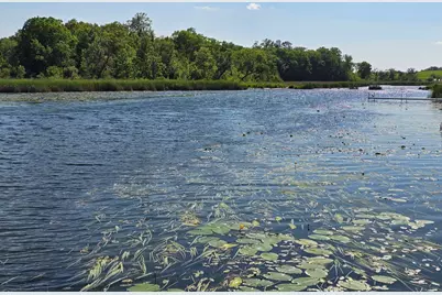 Tract F Blybergs Lane, Pelican Rapids, MN 56572 - Photo 2