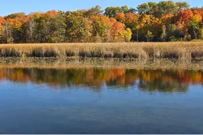 Tract I Blybergs Lane, Pelican Rapids, MN 56572 - Photo 12
