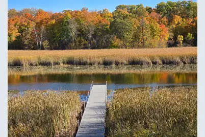 Tract J Blybergs Lane, Pelican Rapids, MN 56572 - Photo 2