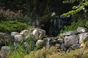 2945 County Road 4 SW, Cokato, MN 55321 - Photo 8