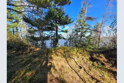 Tract 8 Brush Island, Angle Inlet, MN 56711 - Photo 2