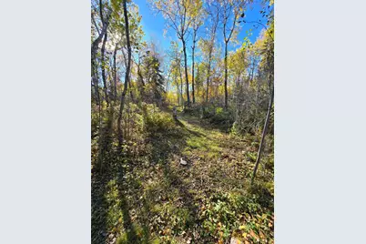 Tract 8 Brush Island, Angle Inlet, MN 56711 - Photo 8