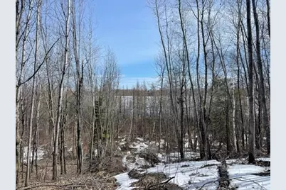 Tbd Lot 5 New Manz Drive, Lake George Township, MN 56458 - Photo 6