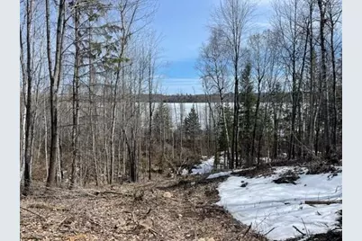 Tbd Lot 6 New Paradise Point Drive, Lake George Township, MN 56458 - Photo 2